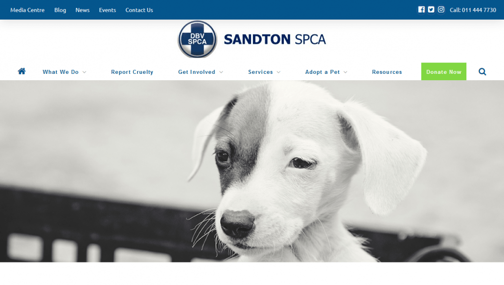 Sandton SPCA website by Vinefruit WordPress Consulting